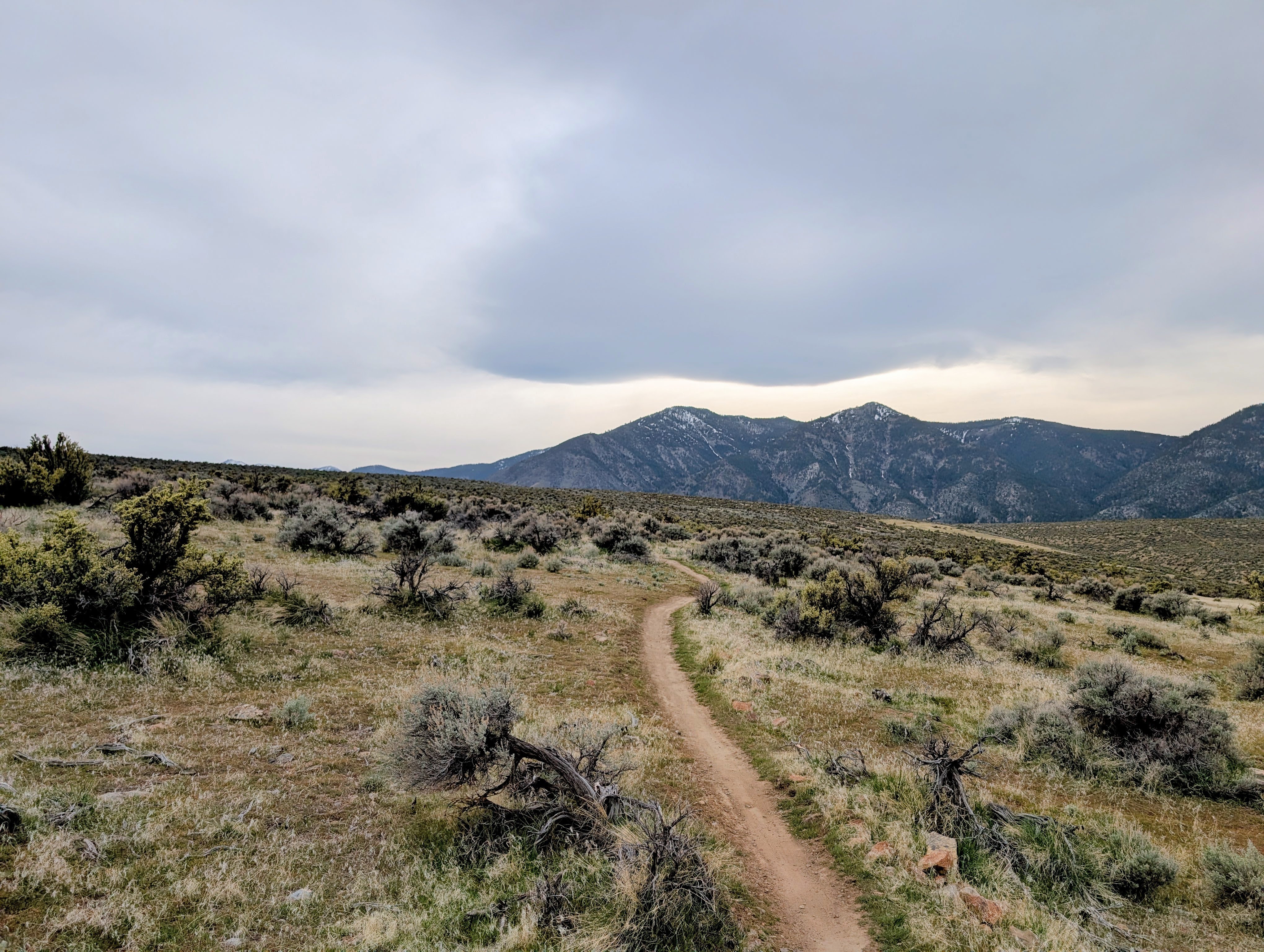 Navigating Your Real Estate Journey: Lessons Beyond Homeownership